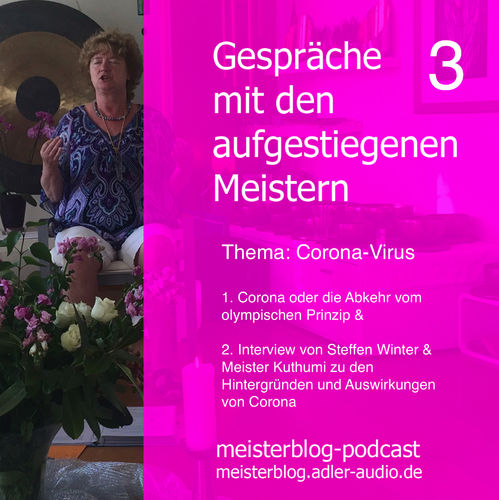 Meisterblog 3 Thema: Corona-Virus